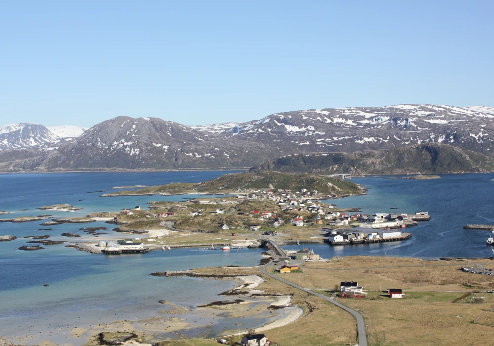 Psykiater Sommarøy