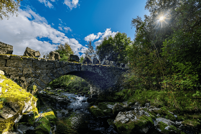 Psykiater Hjelmeland