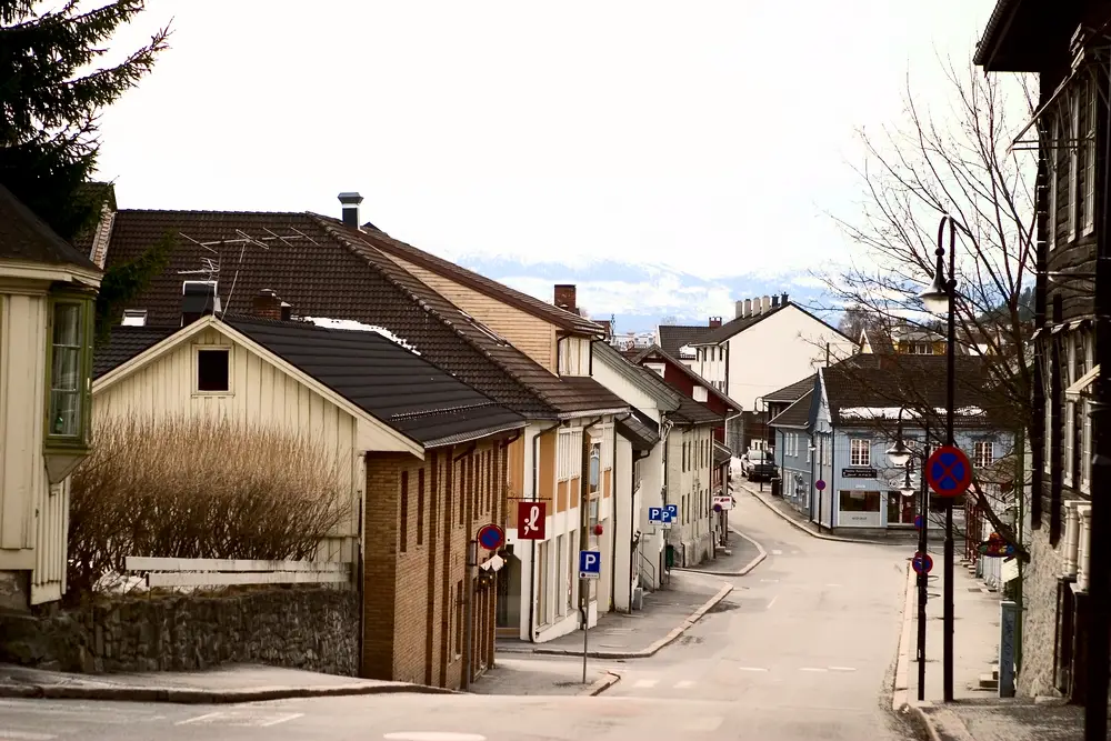 Psykiater Kongsberg