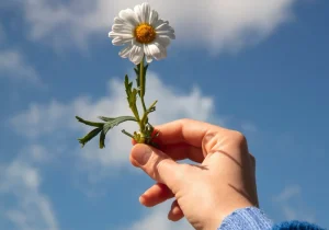 En hånd holder en hvit blomst mot blå himmel, som symbol på håp, positivitet og vekst relatert til psykisk-helse-og-livskvalitet i hverdagen.
